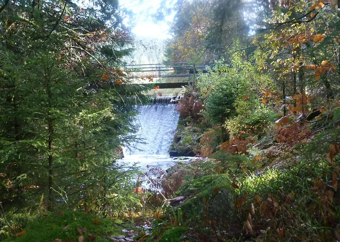 Domaine Des Hauts Viaux